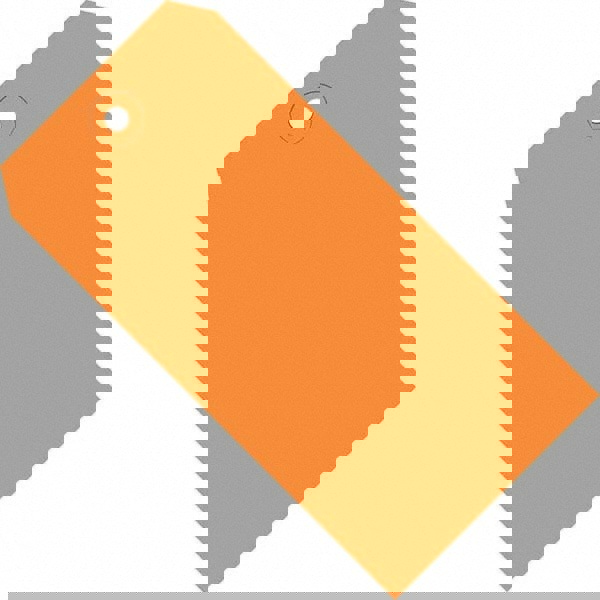 Blank Tag: 6-1/4'' High, Orange, Synthetic Paper